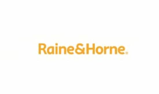 RAINE & HORNE INTERNATIONAL ZAKI + PARTNERS SDN. BHD.   [ VEPM (1) 0067 ]
