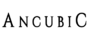 Ancubic Land Sdn Bhd