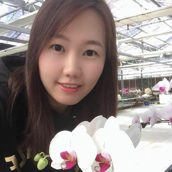 Laurence Lo