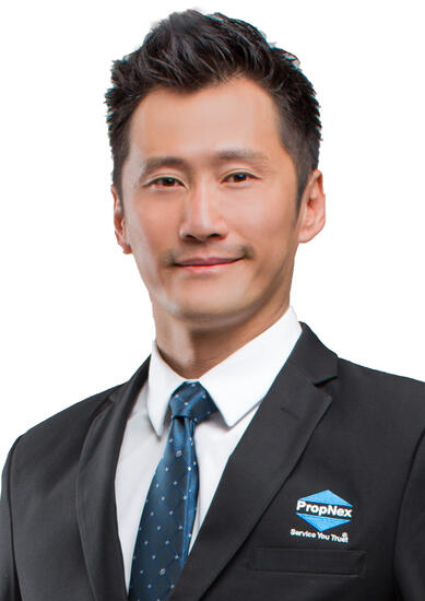 DOMINIQUE CHIU