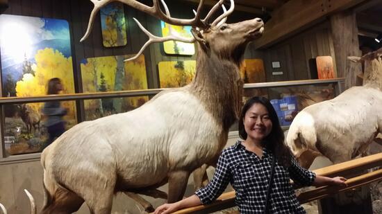 Wendy Lam