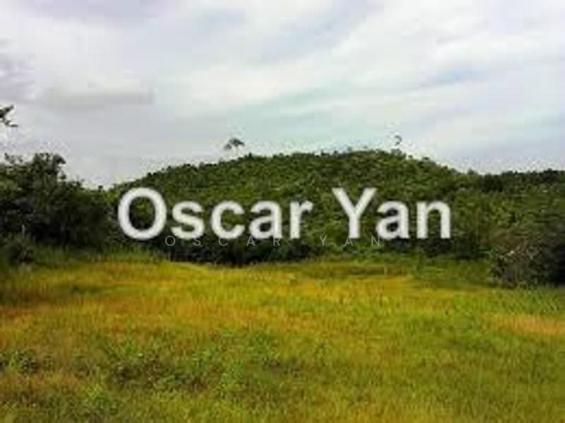 Residential Land for Sale in Leisure farm (Johor Bahru) - Oscar Yan - PropertyGuru.com.my