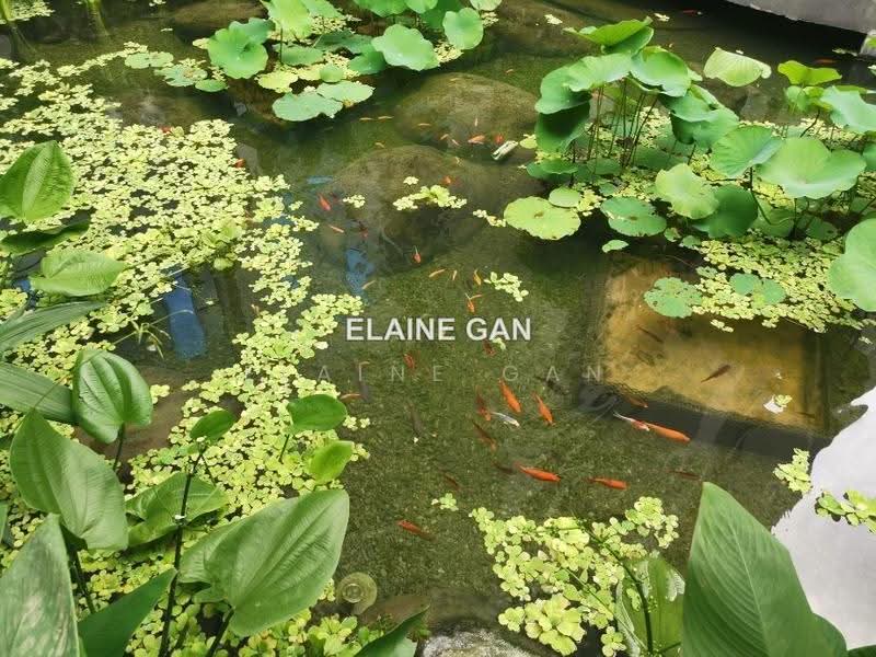 Condominium for Sale at The Rainz - Elaine Gan - PropertyGuru.com.my
