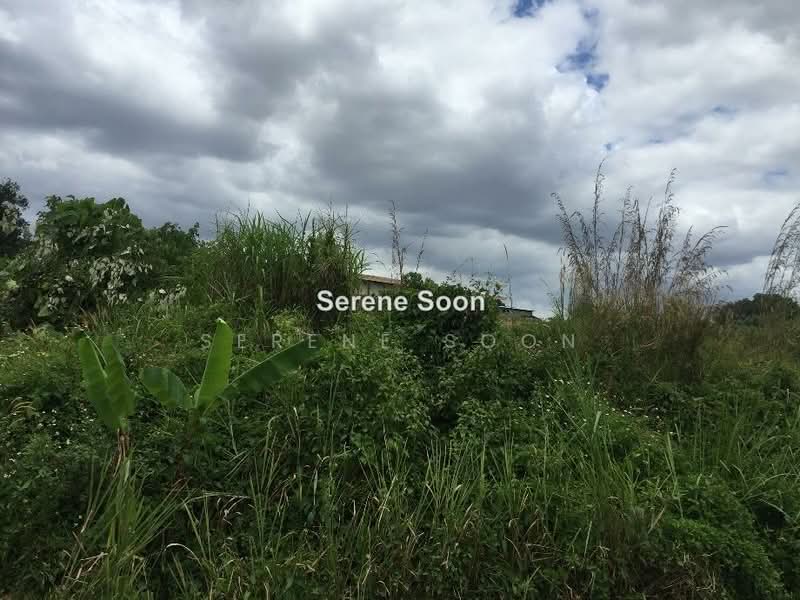 Agricultural Land for Sale in Semenyih (Selangor) - Serene Soon - PropertyGuru.com.my