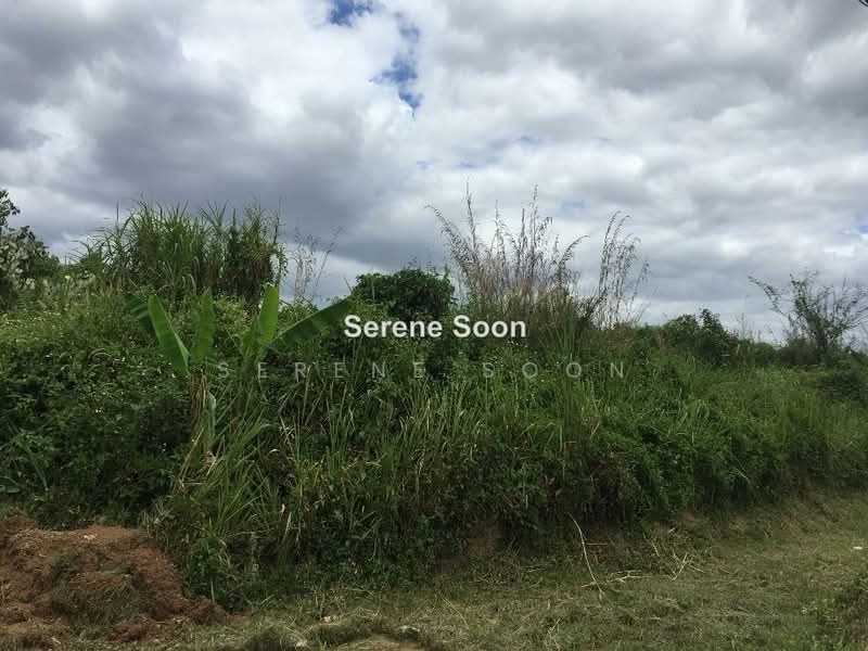 Agricultural Land for Sale in Semenyih (Selangor) - Serene Soon - PropertyGuru.com.my