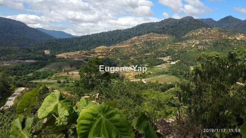 Tanah Pertanian untuk Dijual di Karak (Pahang) - Eugene Yap - PropertyGuru.com.my