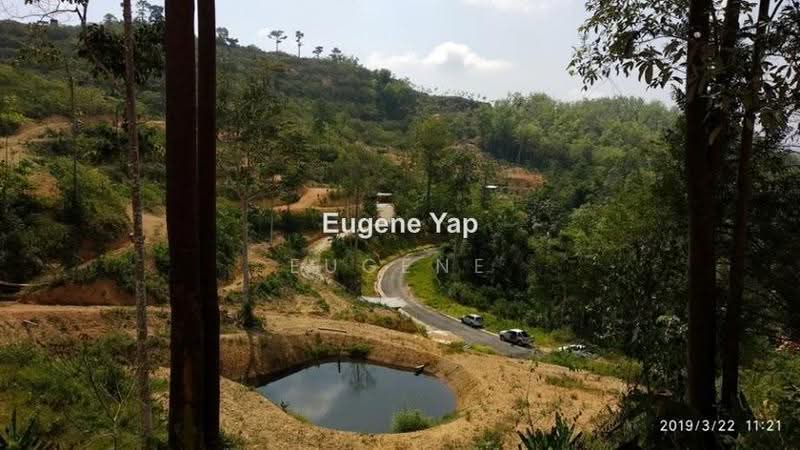 Tanah Pertanian untuk Dijual di Karak (Pahang) - Eugene Yap - PropertyGuru.com.my