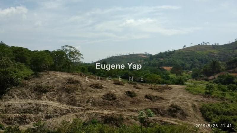 Tanah Pertanian untuk Dijual di Karak (Pahang) - Eugene Yap - PropertyGuru.com.my