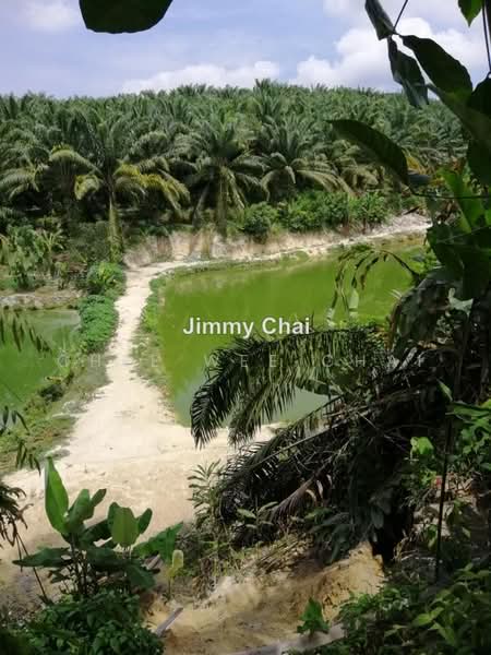 Agricultural Land for Sale in Seremban (Negeri Sembilan) - Chee Wee Chai - PropertyGuru.com.my