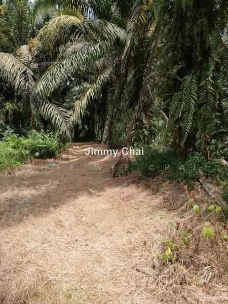 Agricultural Land for Sale in Seremban (Negeri Sembilan) - Chee Wee Chai - PropertyGuru.com.my