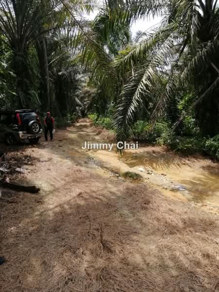 Agricultural Land for Sale in Seremban (Negeri Sembilan) - Chee Wee Chai - PropertyGuru.com.my