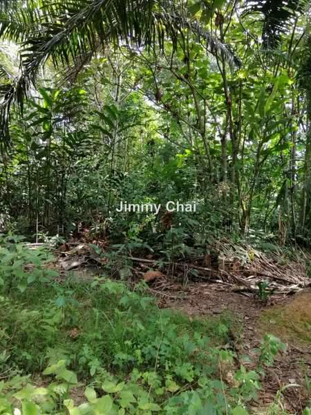 Agricultural Land for Sale in Seremban (Negeri Sembilan) - Chee Wee Chai - PropertyGuru.com.my