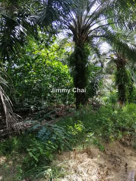Agricultural Land for Sale in Seremban (Negeri Sembilan) - Chee Wee Chai - PropertyGuru.com.my