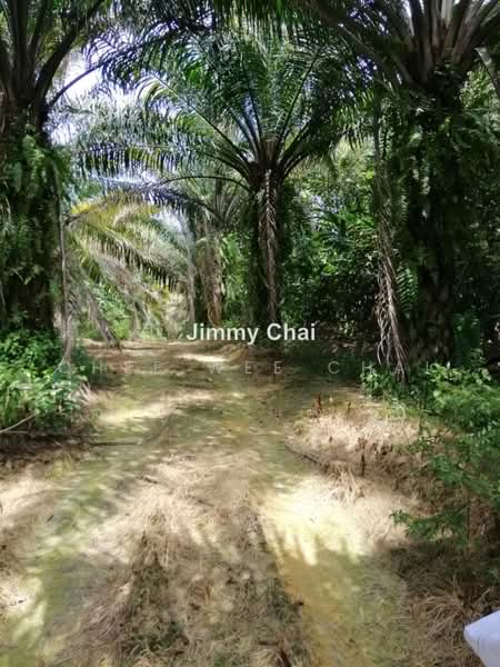 Agricultural Land for Sale in Seremban (Negeri Sembilan) - Chee Wee Chai - PropertyGuru.com.my