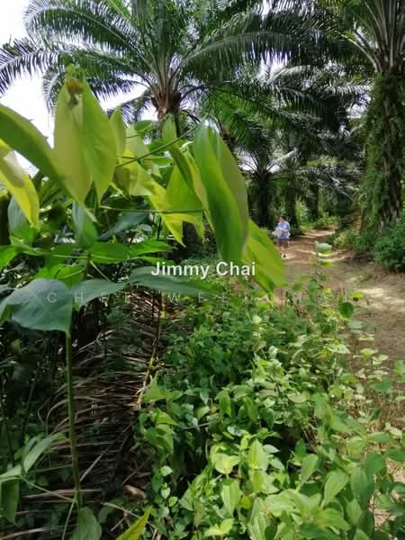 Agricultural Land for Sale in Seremban (Negeri Sembilan) - Chee Wee Chai - PropertyGuru.com.my
