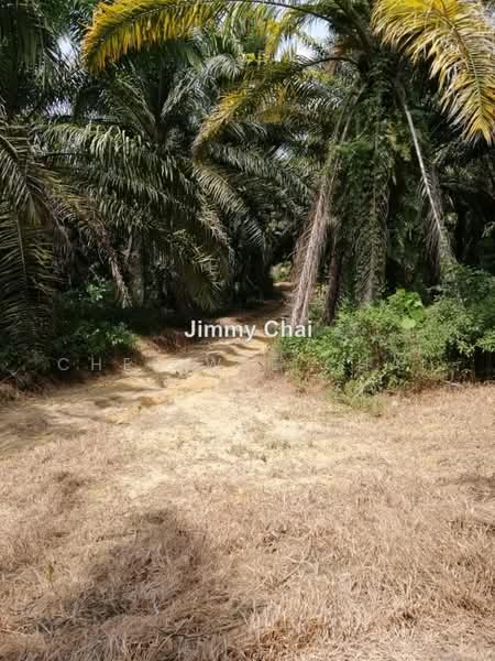 Tanah Pertanian untuk Dijual di Seremban (Negeri Sembilan) - Chee Wee Chai - PropertyGuru.com.my
