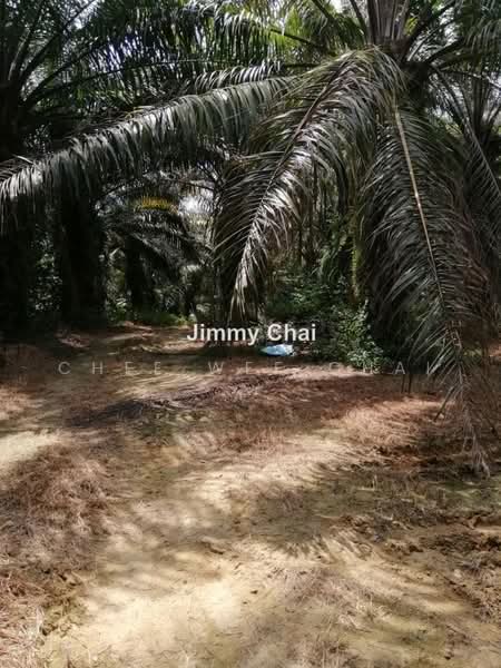 Agricultural Land for Sale in Seremban (Negeri Sembilan) - Chee Wee Chai - PropertyGuru.com.my