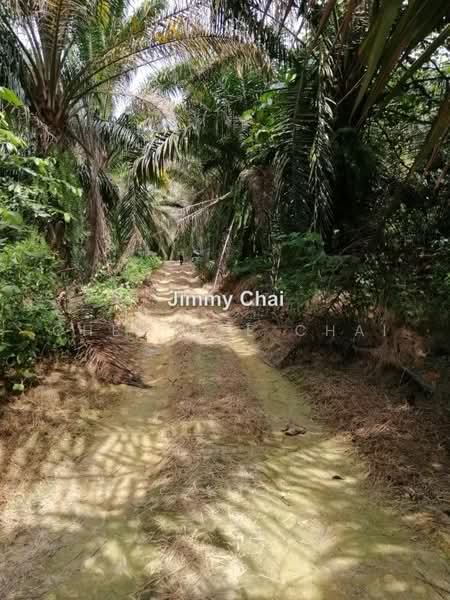 Agricultural Land for Sale in Seremban (Negeri Sembilan) - Chee Wee Chai - PropertyGuru.com.my