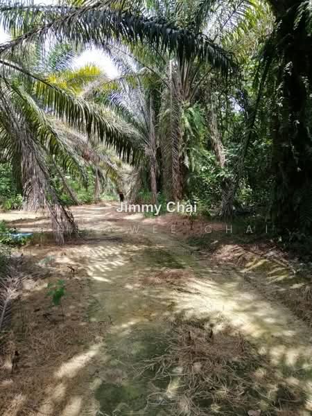 Agricultural Land for Sale in Seremban (Negeri Sembilan) - Chee Wee Chai - PropertyGuru.com.my