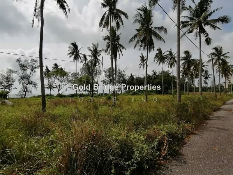 Agricultural Land for Sale in Tanjung Punggai (Pengerang) - Joyce Eng - PropertyGuru.com.my