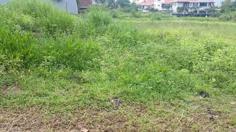 Tanah Banglo untuk Dijual di Mutiara Damansara (Selangor) - Grace Tan - PropertyGuru.com.my