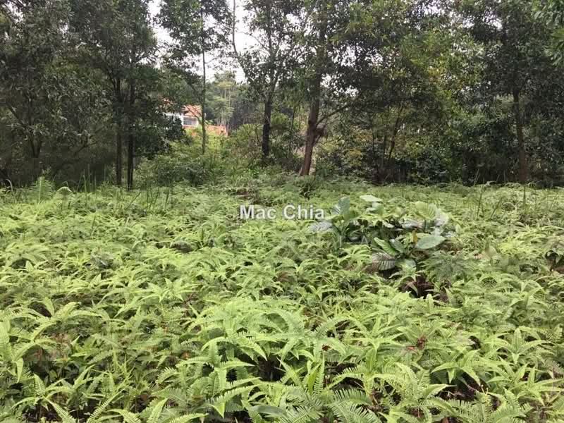Tanah Banglo untuk Dijual di Country Heights Damansara (Kuala Lumpur) - Mac Chia - PropertyGuru.com.my