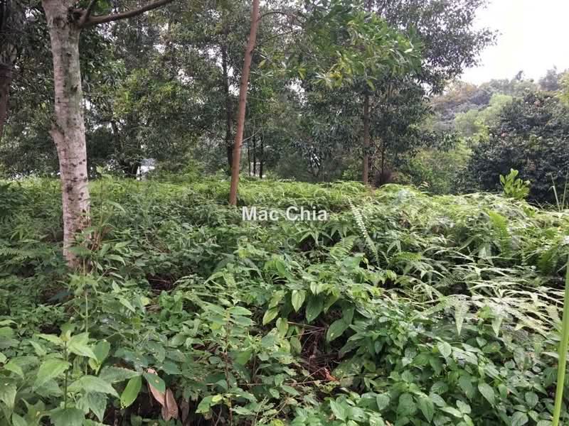 Tanah Banglo untuk Dijual di Country Heights Damansara (Kuala Lumpur) - Mac Chia - PropertyGuru.com.my