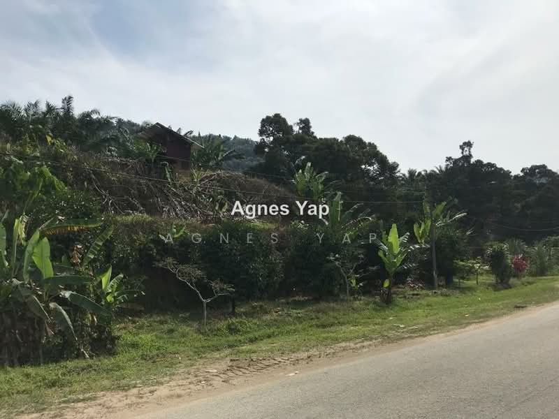 Tanah Pertanian untuk Dijual di Raub , Mukim Traas (Raub) - Agnes Yap - PropertyGuru.com.my