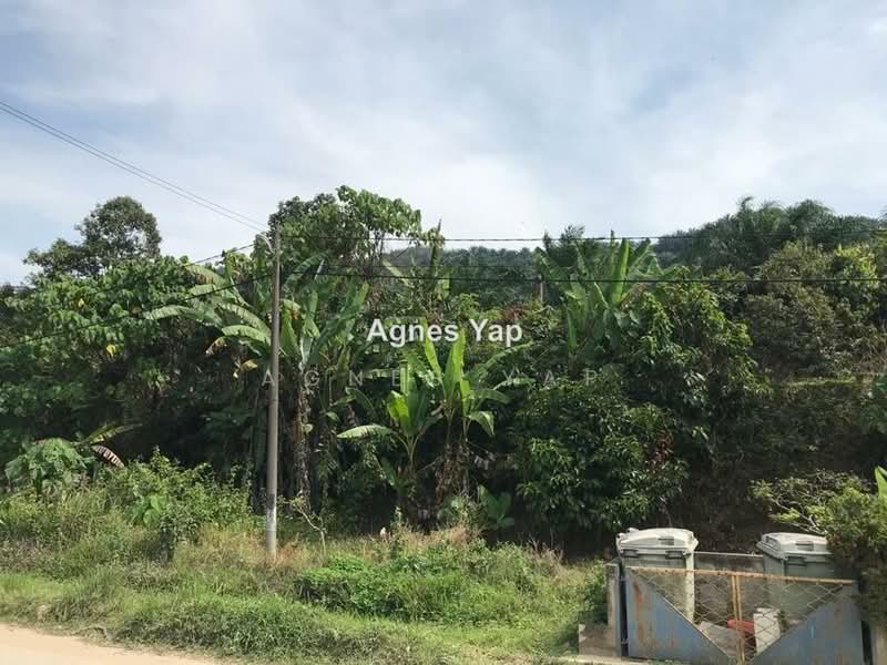 Tanah Pertanian untuk Dijual di Raub , Mukim Traas (Raub) - Agnes Yap - PropertyGuru.com.my
