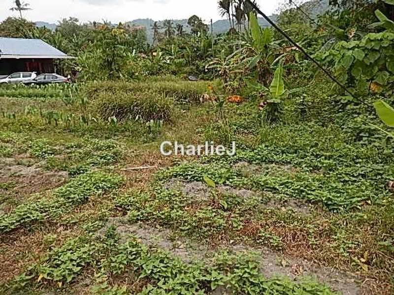 Residential Land for Sale in Balik Pulau (Balik Pulau) - Joseph Charles - PropertyGuru.com.my