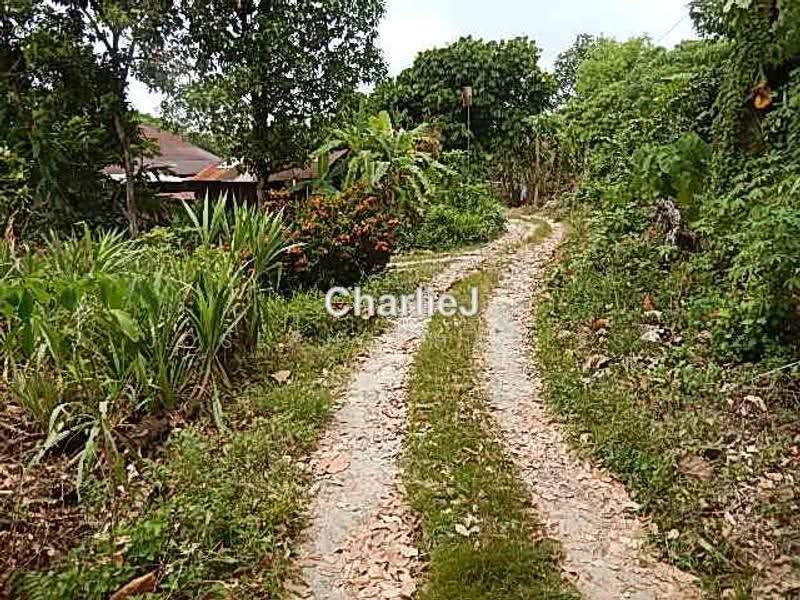 Residential Land for Sale in Balik Pulau (Balik Pulau) - Joseph Charles - PropertyGuru.com.my