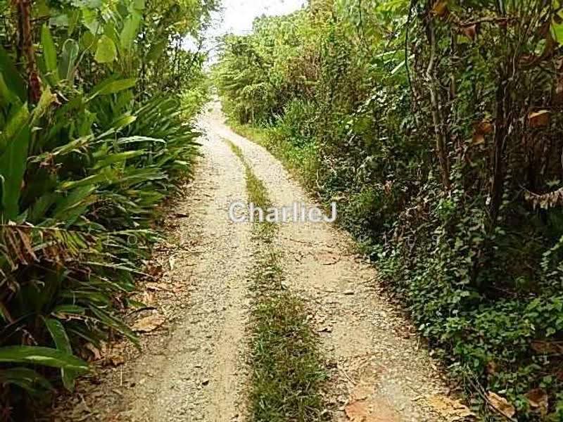 Residential Land for Sale in Balik Pulau (Balik Pulau) - Joseph Charles - PropertyGuru.com.my