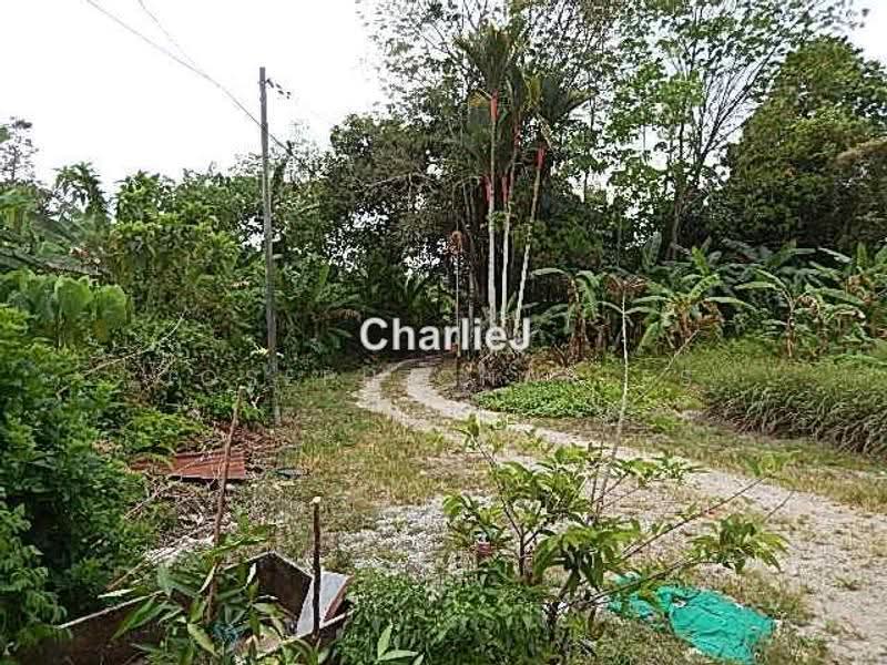 Residential Land for Sale in Balik Pulau (Balik Pulau) - Joseph Charles - PropertyGuru.com.my