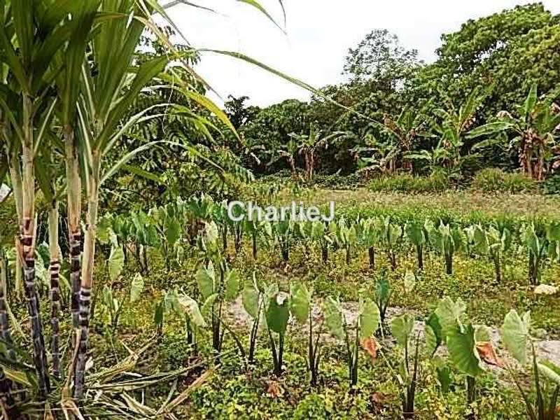 Residential Land for Sale in Balik Pulau (Balik Pulau) - Joseph Charles - PropertyGuru.com.my