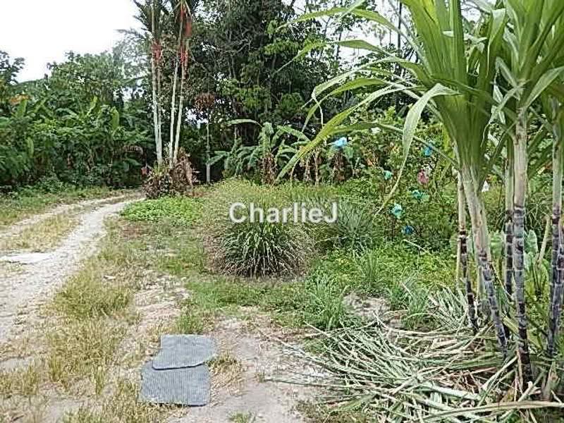 Residential Land for Sale in Balik Pulau (Balik Pulau) - Joseph Charles - PropertyGuru.com.my