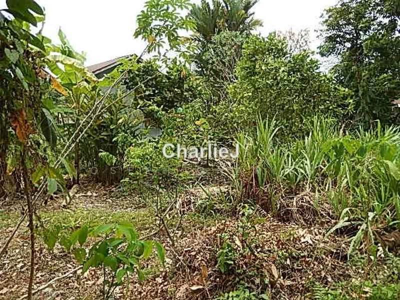 Residential Land for Sale in Balik Pulau (Balik Pulau) - Joseph Charles - PropertyGuru.com.my