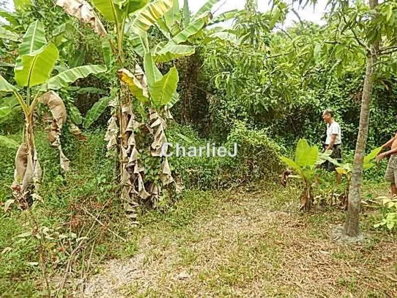 Residential Land for Sale in Balik Pulau (Balik Pulau) - Joseph Charles - PropertyGuru.com.my