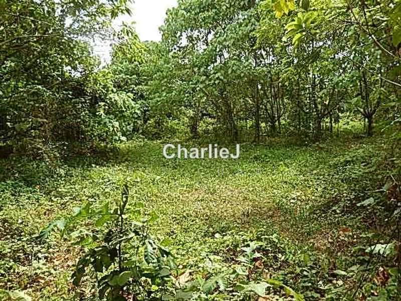 Residential Land for Sale in Balik Pulau (Balik Pulau) - Joseph Charles - PropertyGuru.com.my