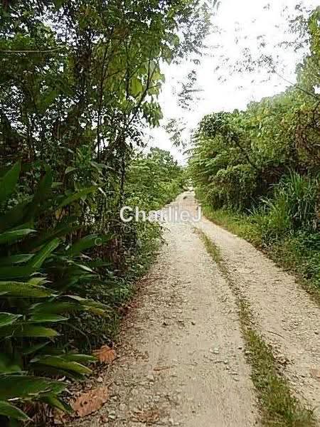 Residential Land for Sale in Balik Pulau (Balik Pulau) - Joseph Charles - PropertyGuru.com.my