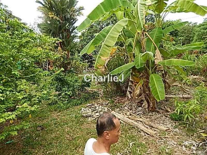 Residential Land for Sale in Balik Pulau (Balik Pulau) - Joseph Charles - PropertyGuru.com.my