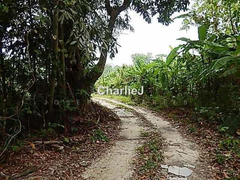 Residential Land for Sale in Balik Pulau (Balik Pulau) - Joseph Charles - PropertyGuru.com.my