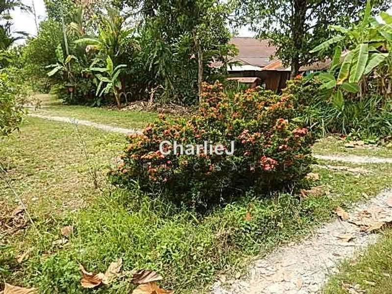 Residential Land for Sale in Balik Pulau (Balik Pulau) - Joseph Charles - PropertyGuru.com.my