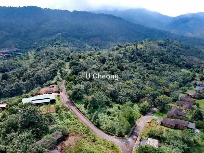 Tanah Pertanian untuk Dijual di Diamond Creeks (Tanjung Malim) - U Cheong - PropertyGuru.com.my