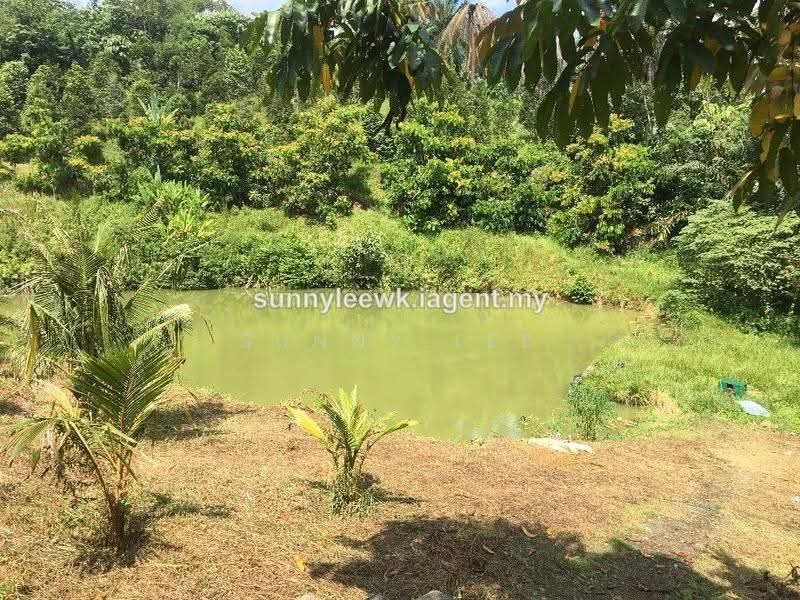Agricultural Land for Sale in Broga (Lenggeng) - Sunny Lee - PropertyGuru.com.my