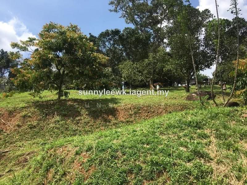 Agricultural Land for Sale in Broga (Lenggeng) - Sunny Lee - PropertyGuru.com.my