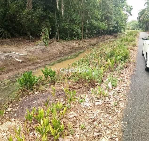 Tanah Pertanian untuk Disewa di Gelang Patah (Iskandar Puteri (Nusajaya)) - Crystal Low - PropertyGuru.com.my
