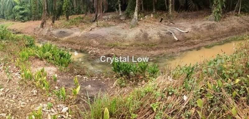 Tanah Pertanian untuk Disewa di Gelang Patah (Iskandar Puteri (Nusajaya)) - Crystal Low - PropertyGuru.com.my