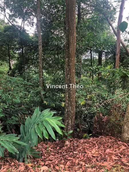 Bungalow Land for Sale in Ampang Jaya (Ampang) - Vincent Theo - PropertyGuru.com.my