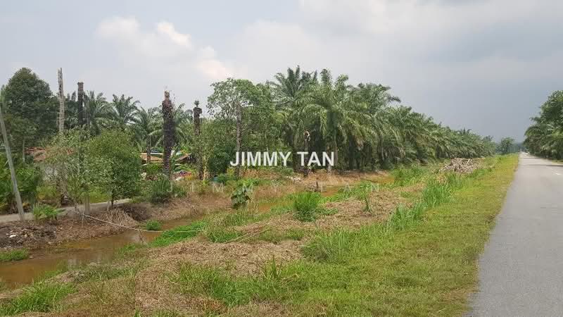 Tanah Perindustrian untuk Dijual di Kampung Bukit Badong (Ijok) - Jimmy Tan - PropertyGuru.com.my