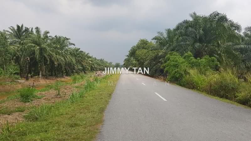 Tanah Perindustrian untuk Dijual di Kampung Bukit Badong (Ijok) - Jimmy Tan - PropertyGuru.com.my